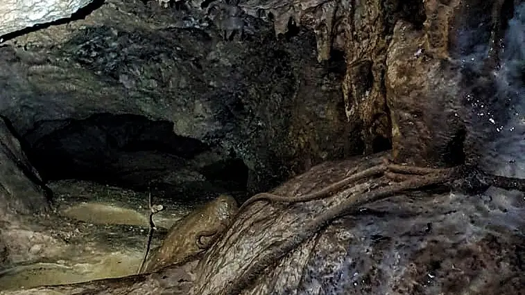 Spéléologie en famille - découvertes et apprentissages du milieu souterrain