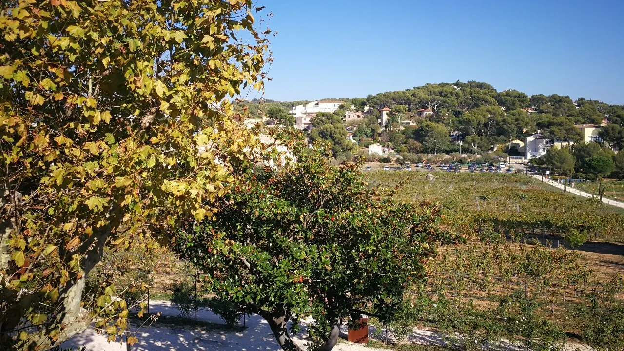 Vue sur sur le domaine