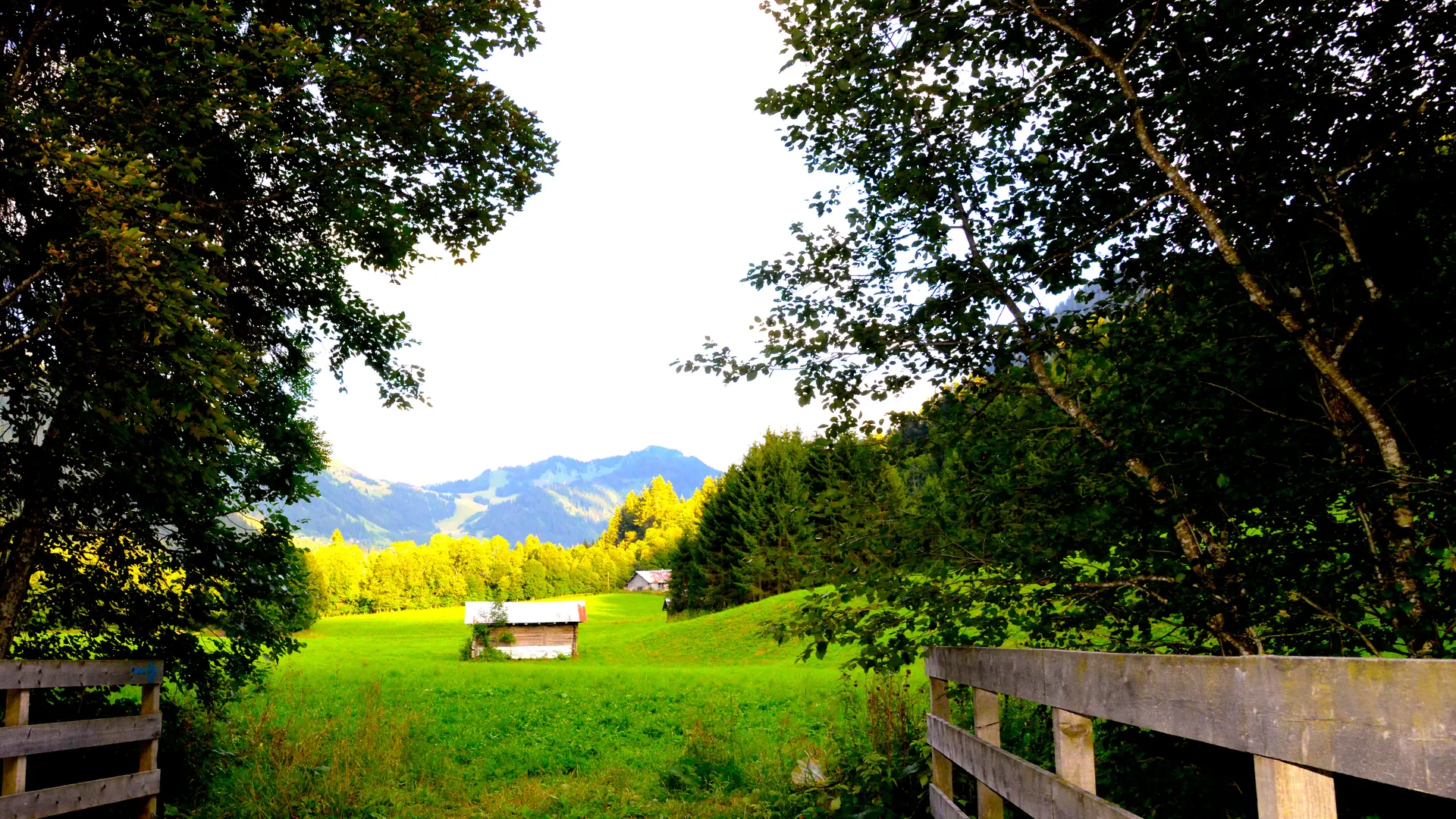 Chemin des bords de Dranse
