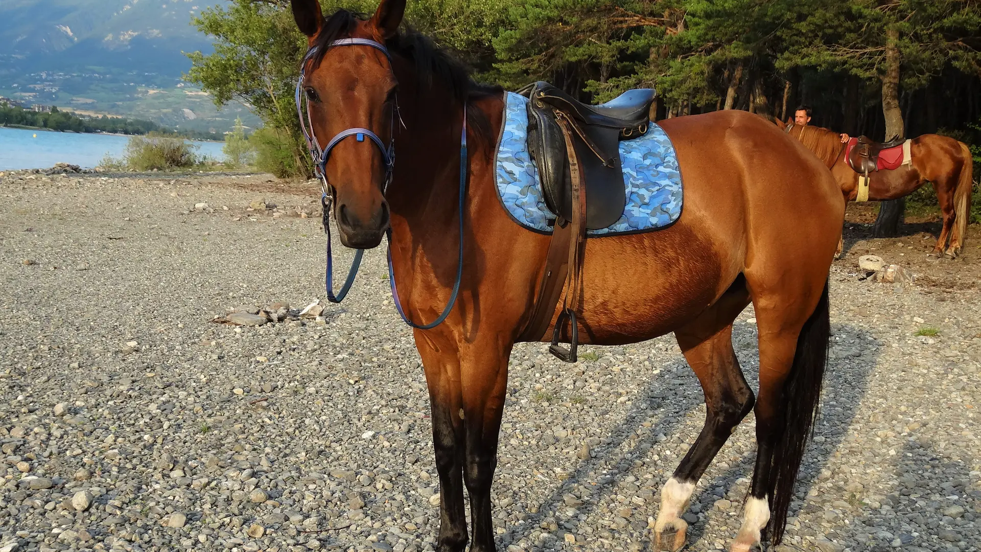 Aalpes Rando Equitation CROTS