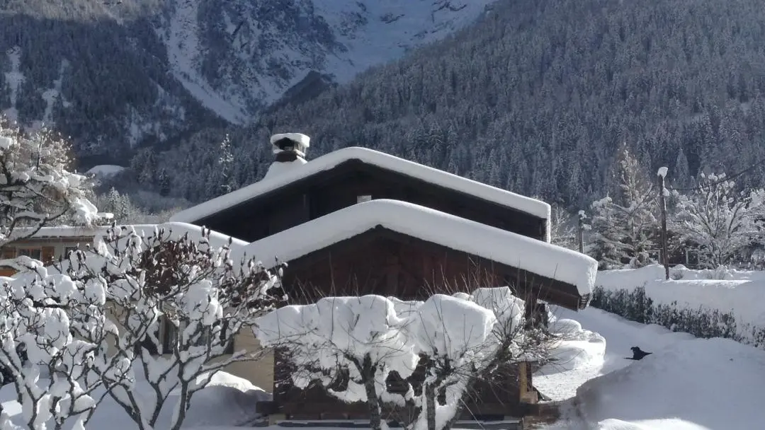 Vue depuis l'arrière du gite et chalet
