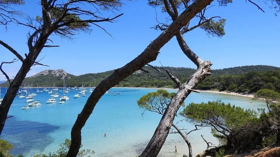 L' emplacement privilégié du gîte, limitrophe du Var, vous permet de découvrir ce département de toute beauté.
Les îles de Porquerolles au départ de Hyères les palmiers, Bandol, le Fort de Brégançon, Bormes les mimosas...