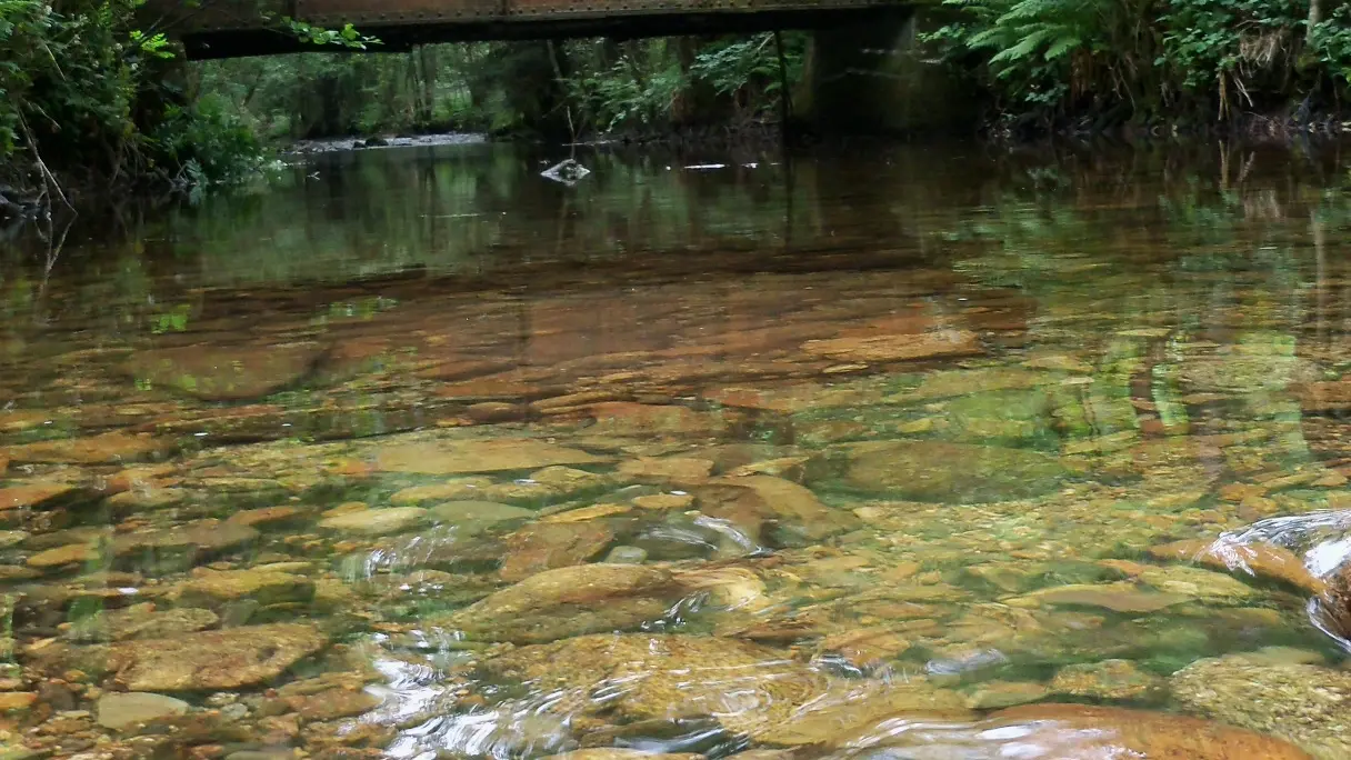 Pont de la Presle à la Chabanne