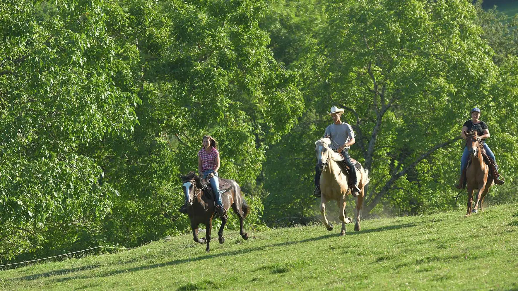Randonnée équestre