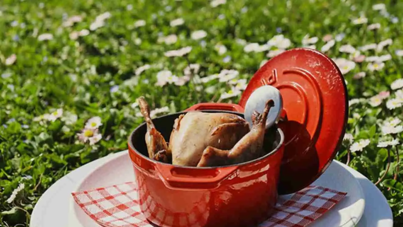 B2 Restaurant_Fontaine-de-Vaucluse poulet en cocotte sur le gazon du golf