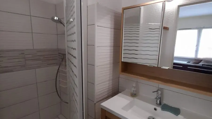 Salle de bains avec bac à douche, ameublement bois