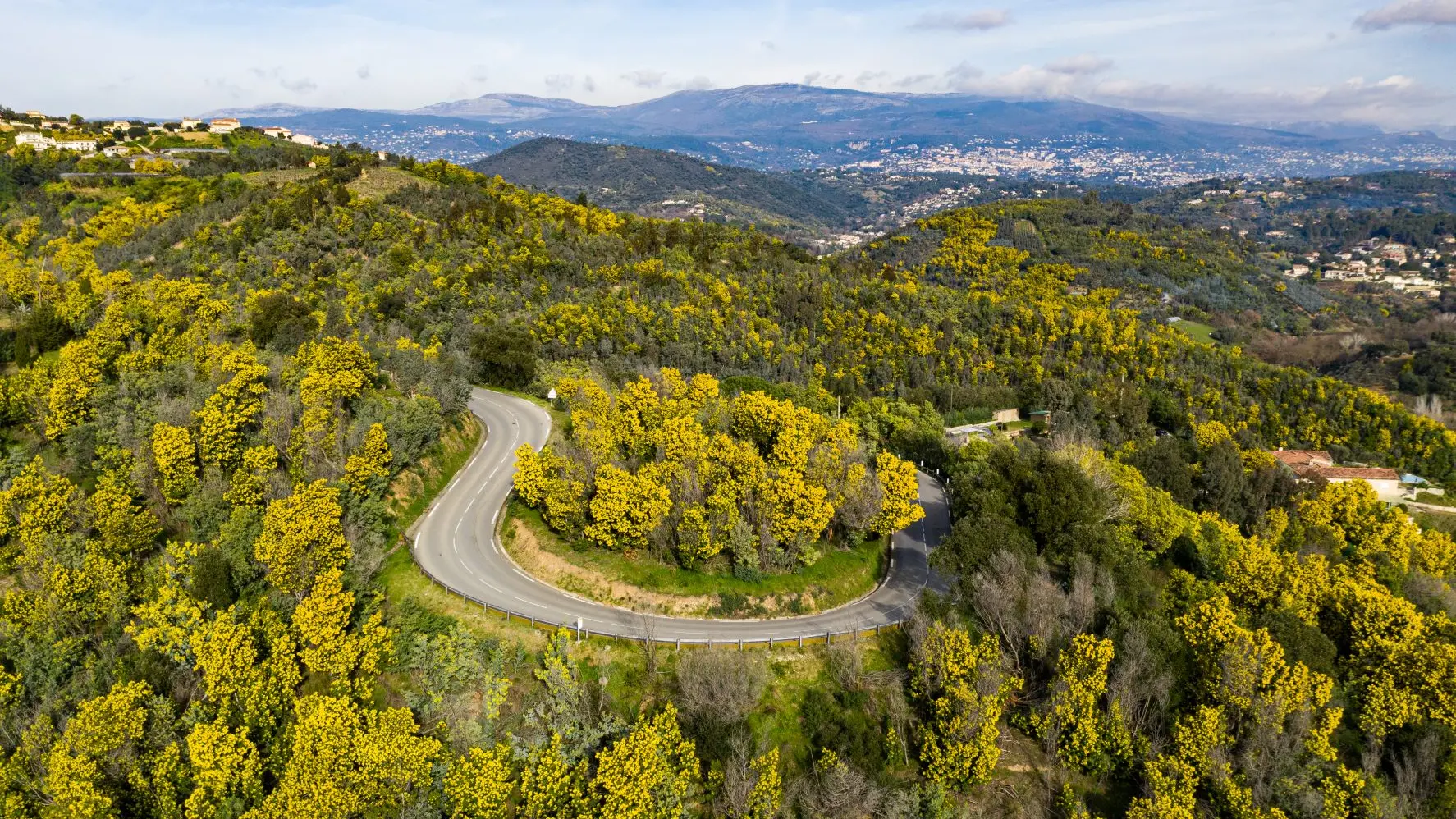 L'hiver en Estérel Côte d'Azur, entre carnavals et mimosa