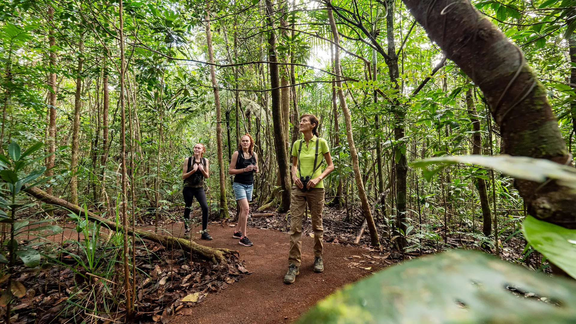 Arpentez les sentiers du parc de la rivière bleue aux côtés d'Isabelle Jollit, et prenez-en plein les yeux et les oreilles