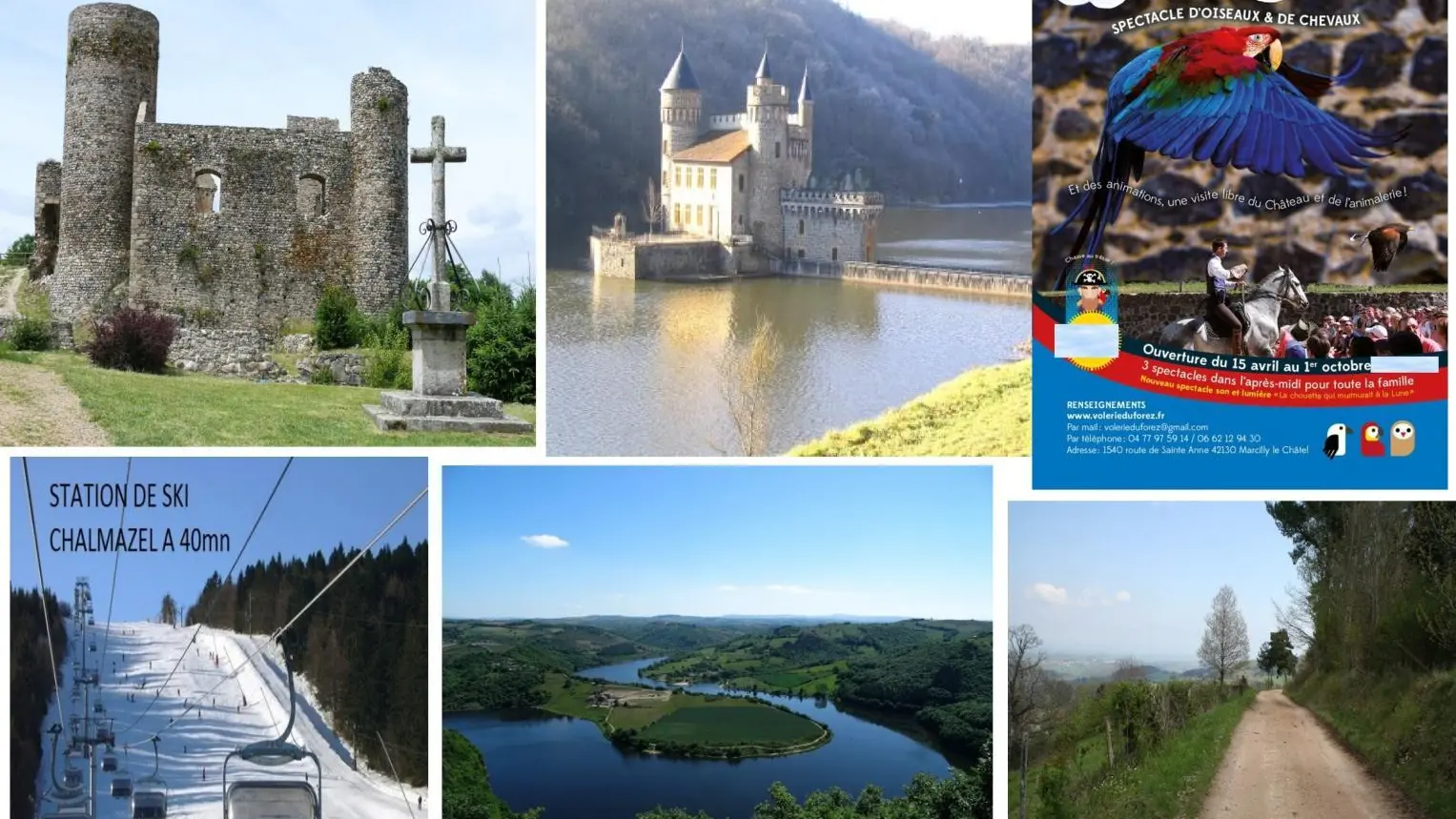 De nombreux sites à visiter : châteaux, spectacles à la volerie du forez, base nautique en bord de Loire, chemins de randonnées au départ du gite.....