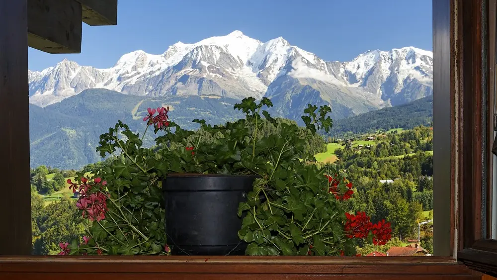 Vue sur le Mont Blanc du séjour