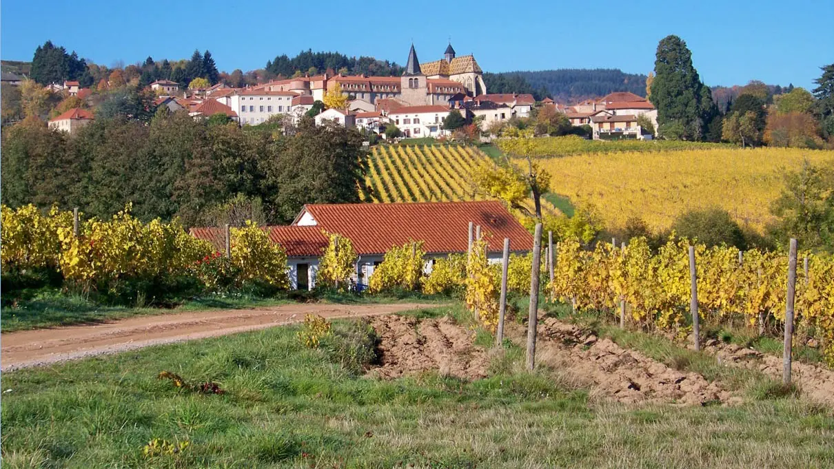 A proximité : Ambierle mérite le détour et est classée en Village et Cité de Caractère.