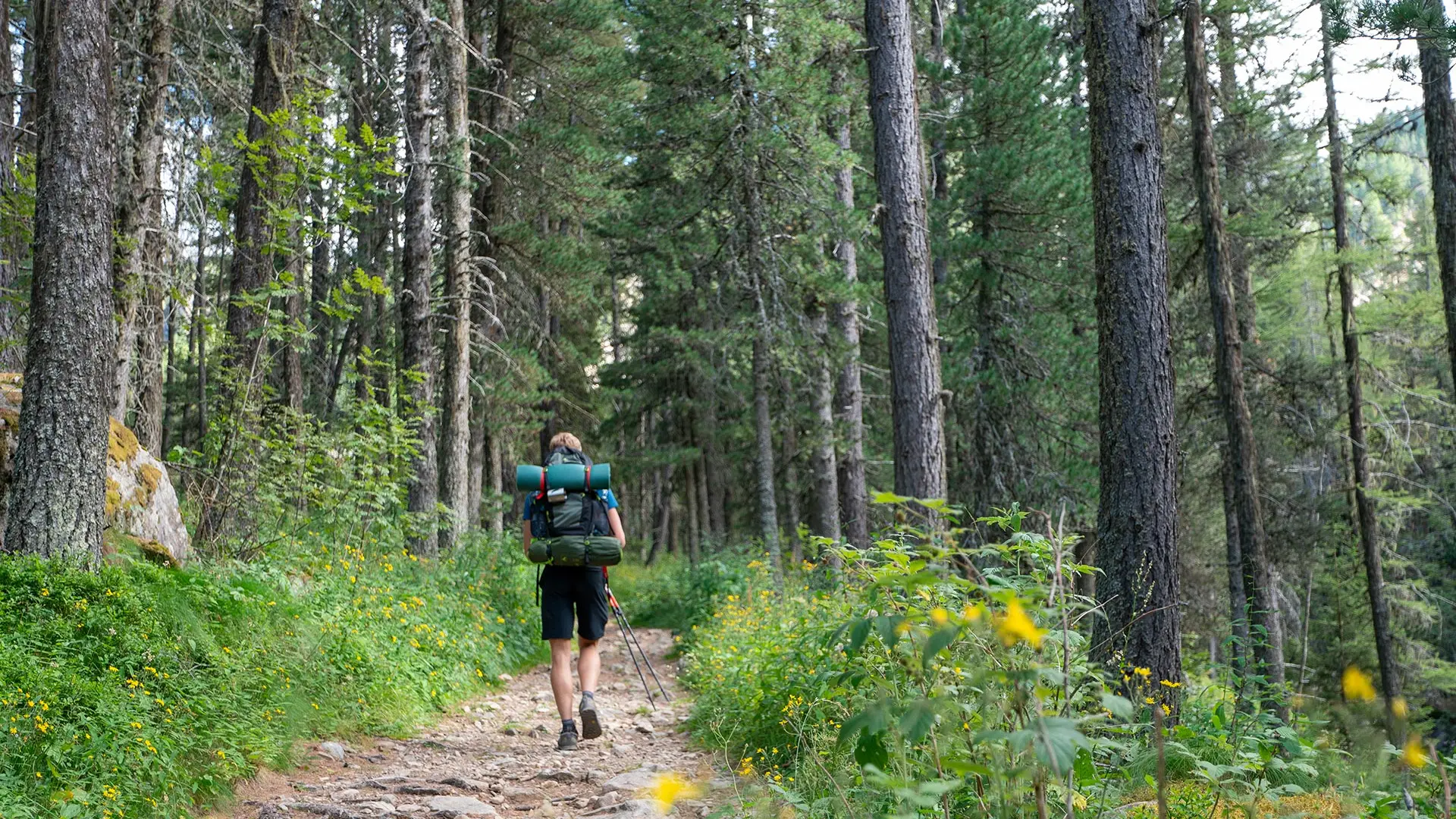 Randonnée aux Eaux Tortes du Laverq