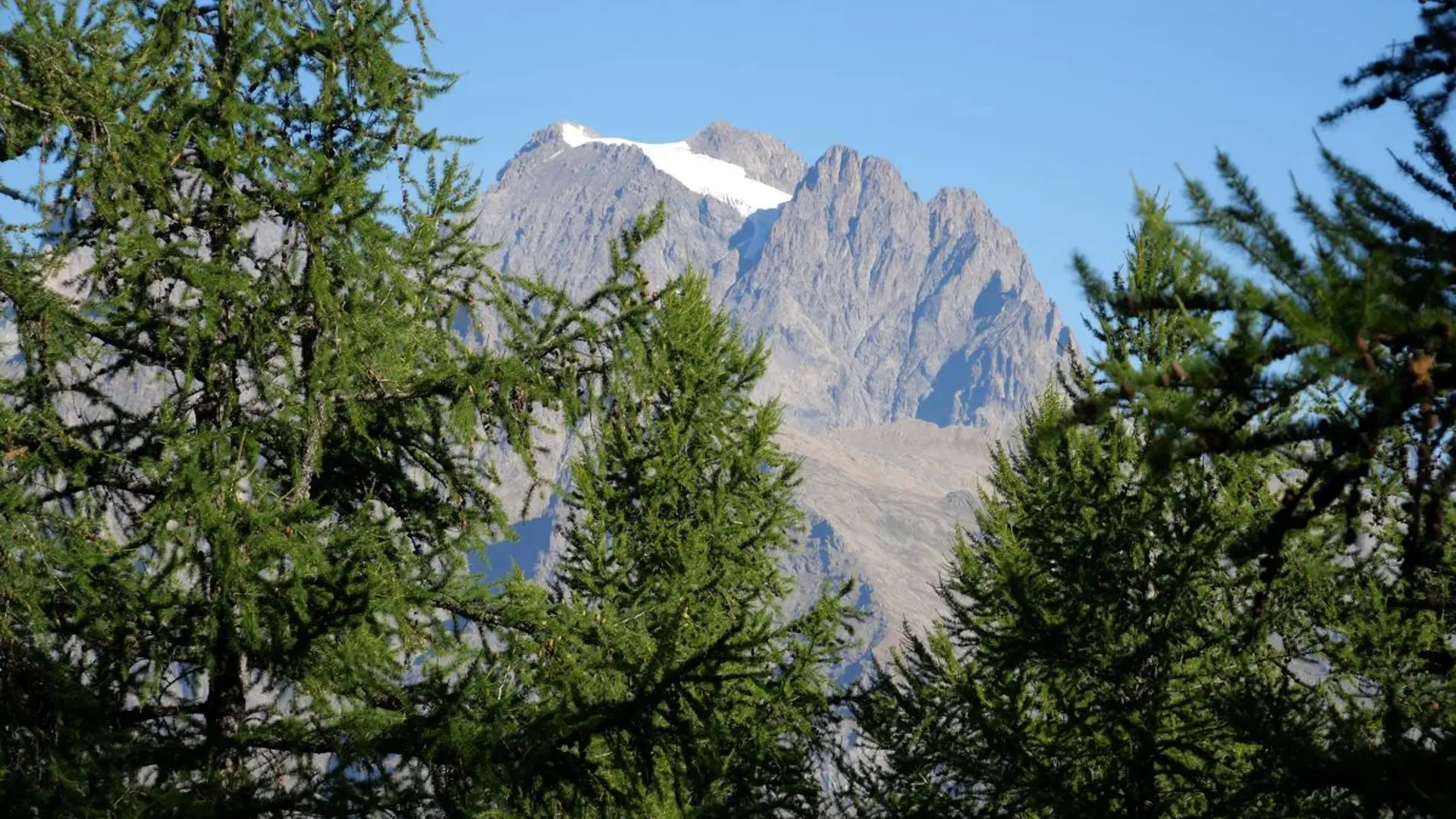 Vue sur le Pelvoux depuis la tête d'Oréac