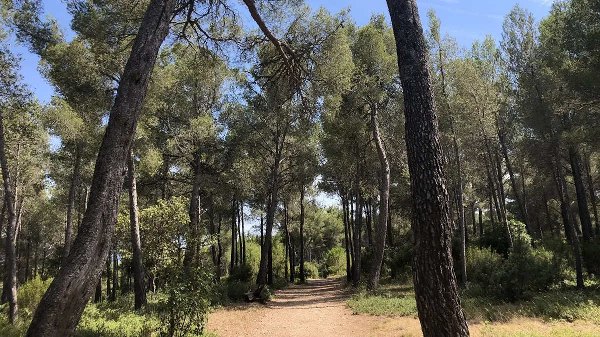 Crapa de la Vernette