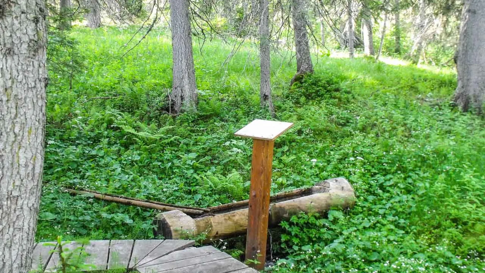 Sentier thématique de Covetan à Notre Dame de Bellecombe