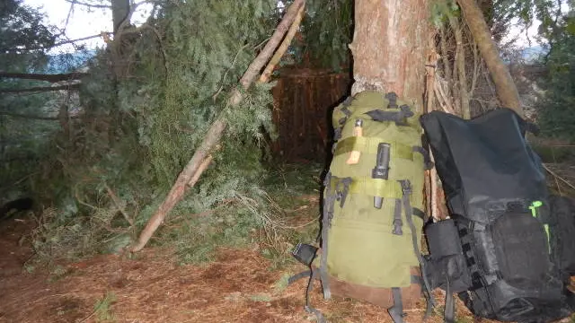 stage de survivalisme