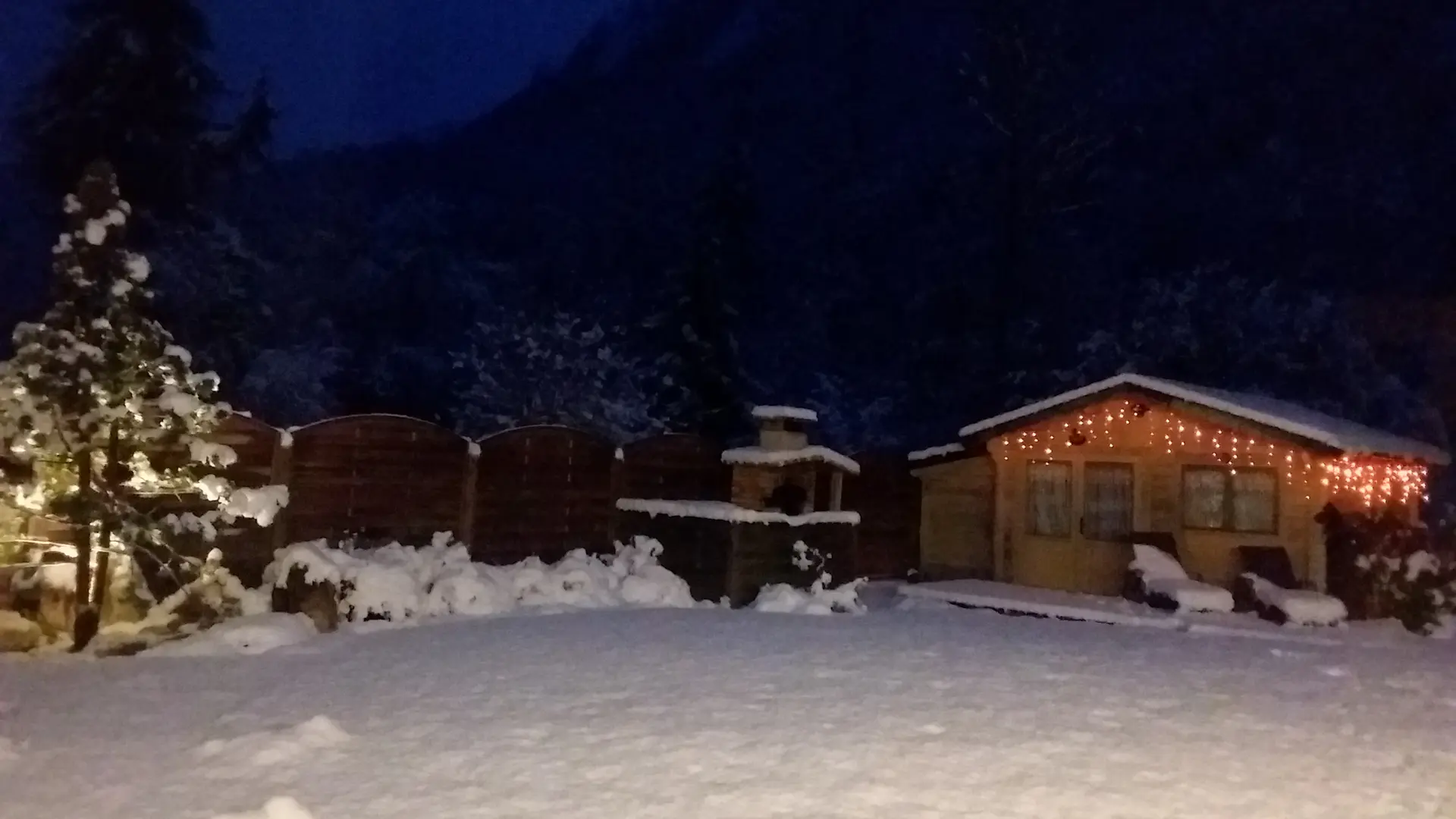 Jardin hiver - abris jardin