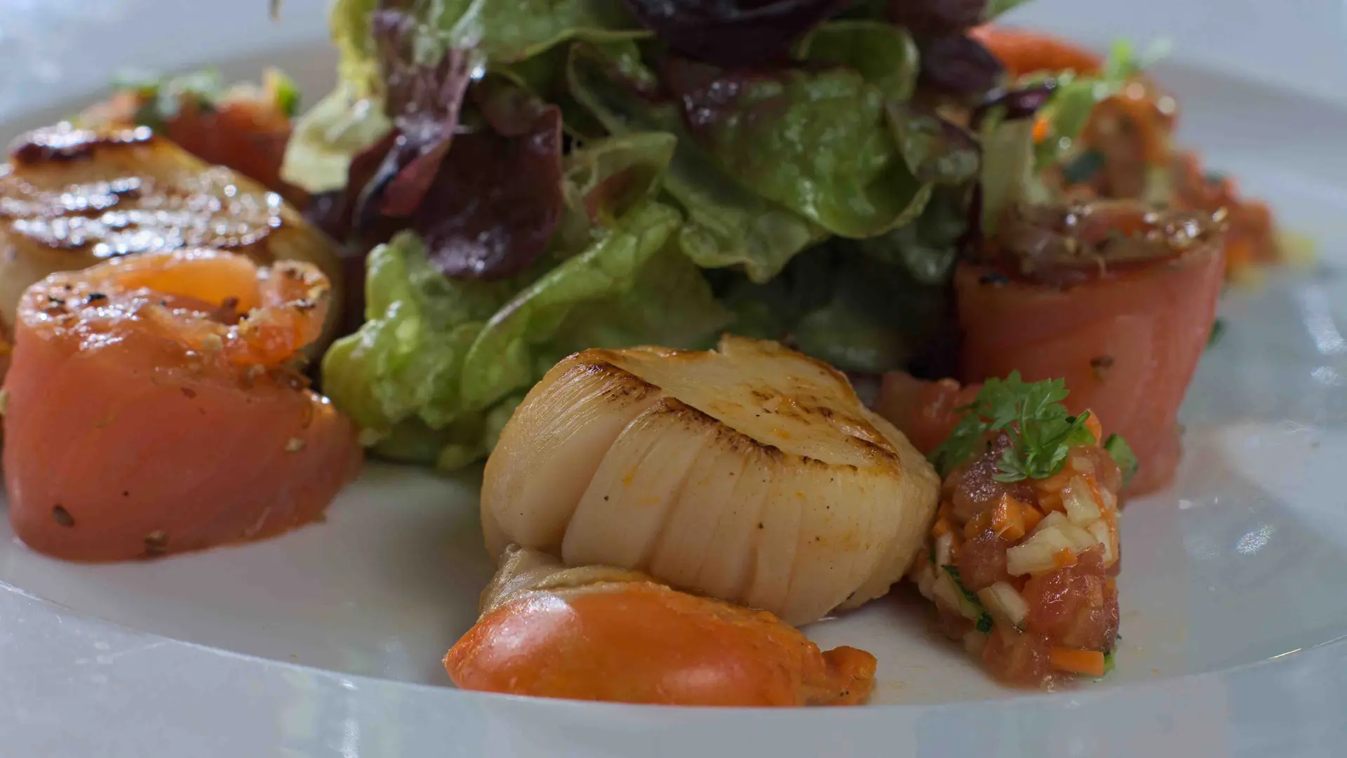 Lachs In Scheiben, Jakobsmuscheln Mit Salat Und Gemüse-Mirepoix