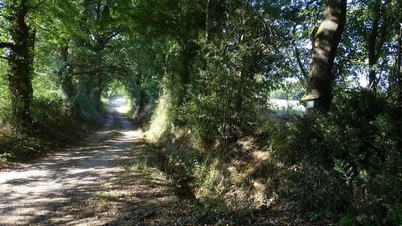 Allée cavalière de la Gazelle.