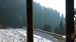 Vue sur le solarium
