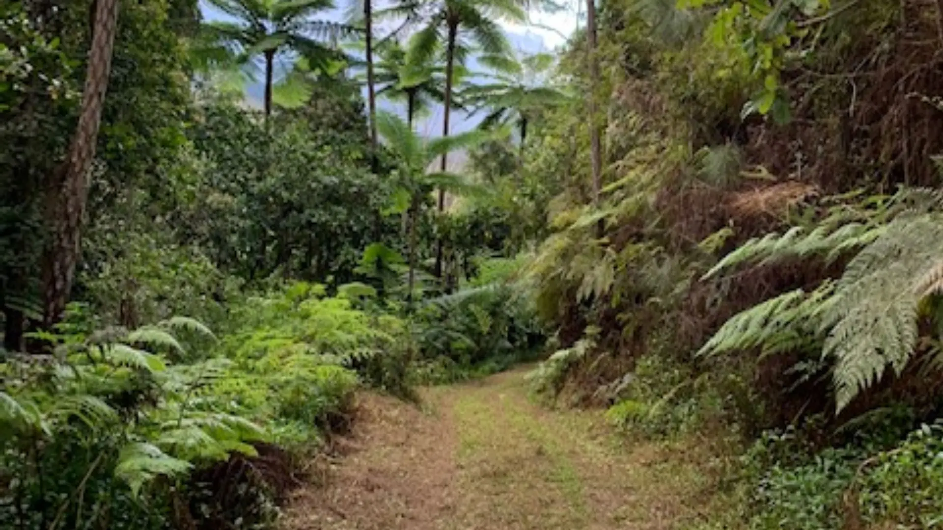 Traversée dans la chaîne