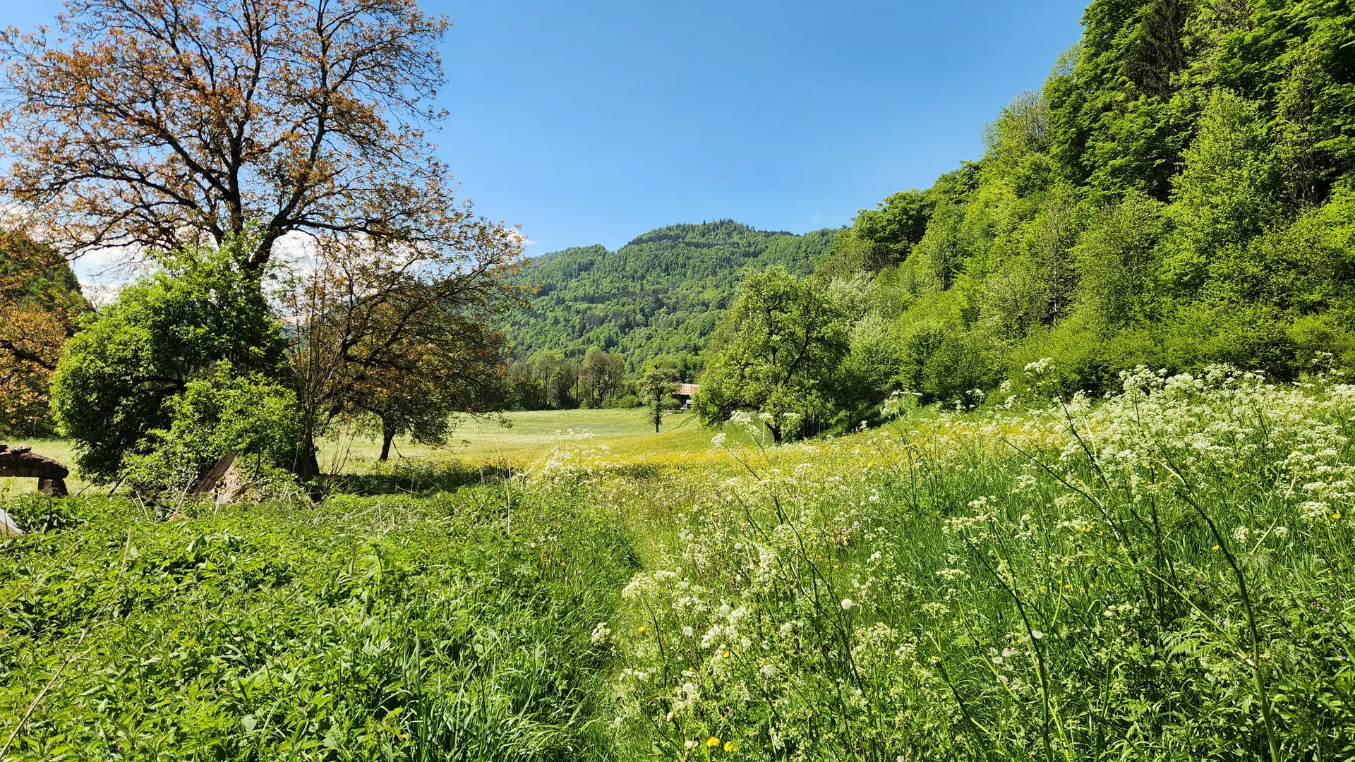Hameau Chez Martin