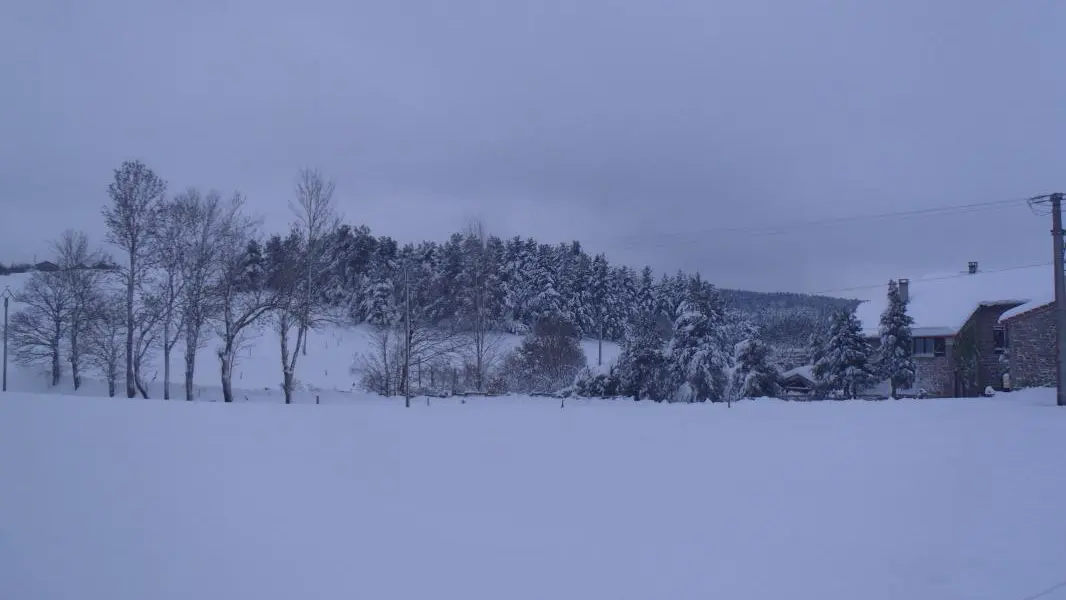 Prêt de skis de fond et de luges possible pour découvrir ce plateau du Pilat enneigé.