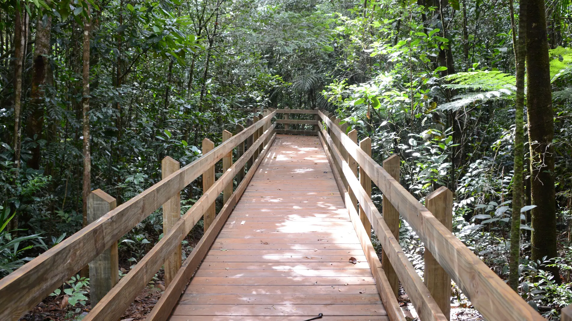 La passerelle