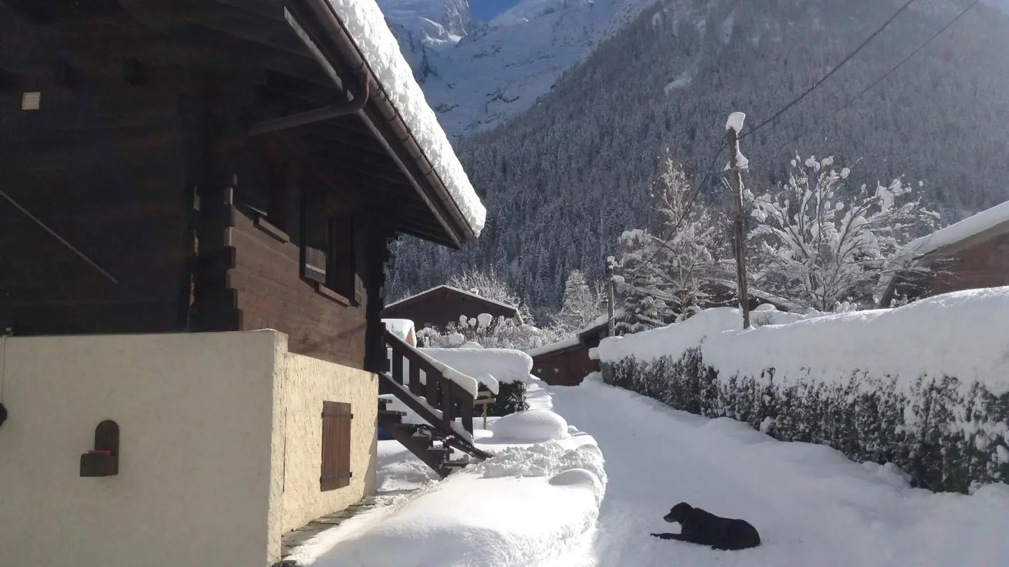 Chemin d'accès au gite avec notre chienne Tina