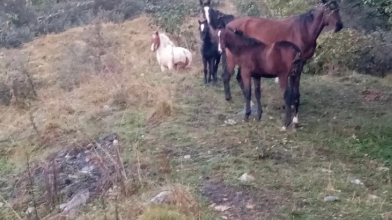 Bergerie de l'étoile