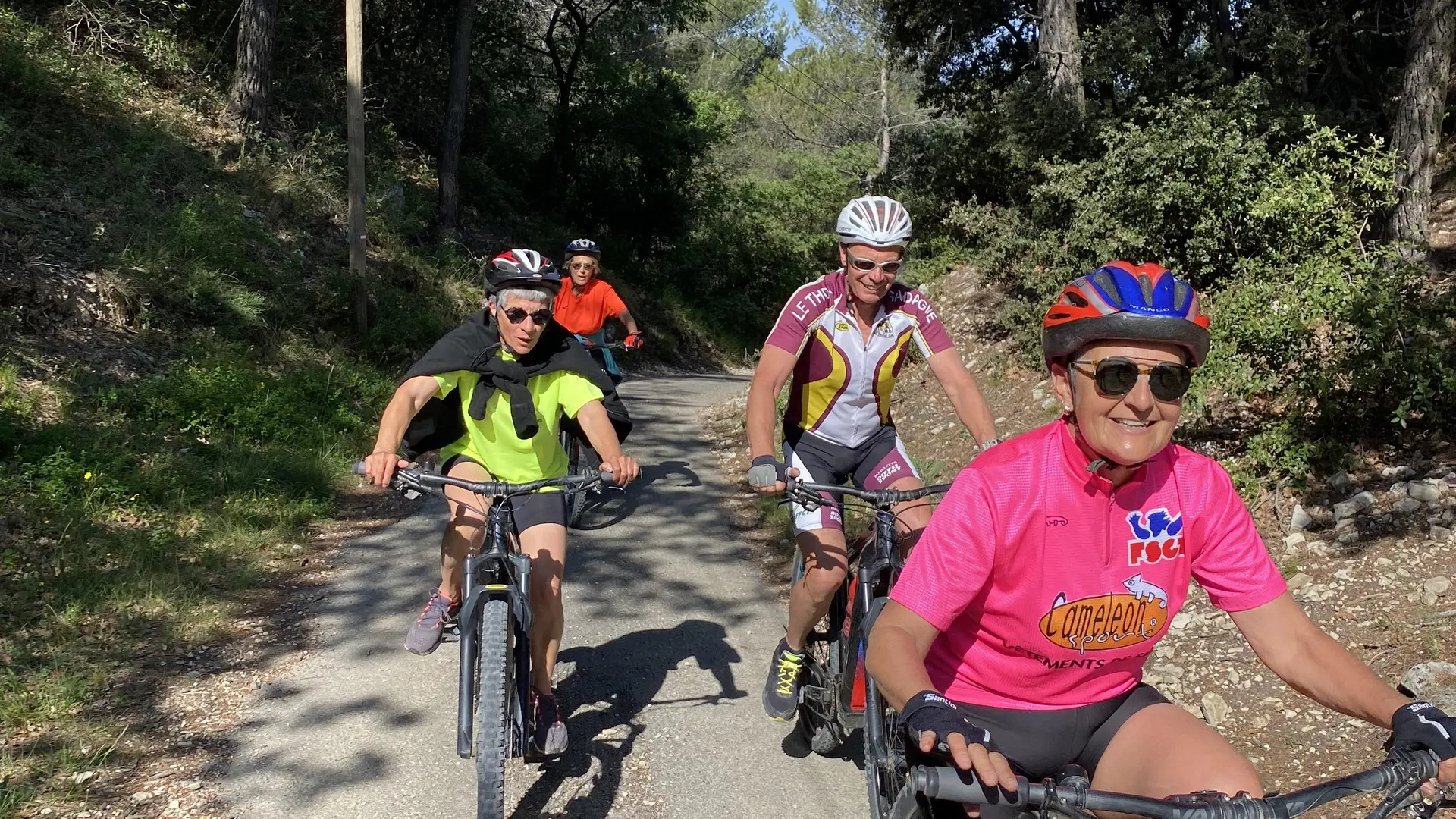 Sur les chemins de Vaison la Romaine