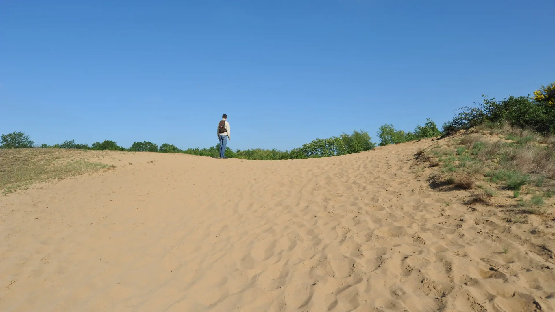 Dunes de sable continentales