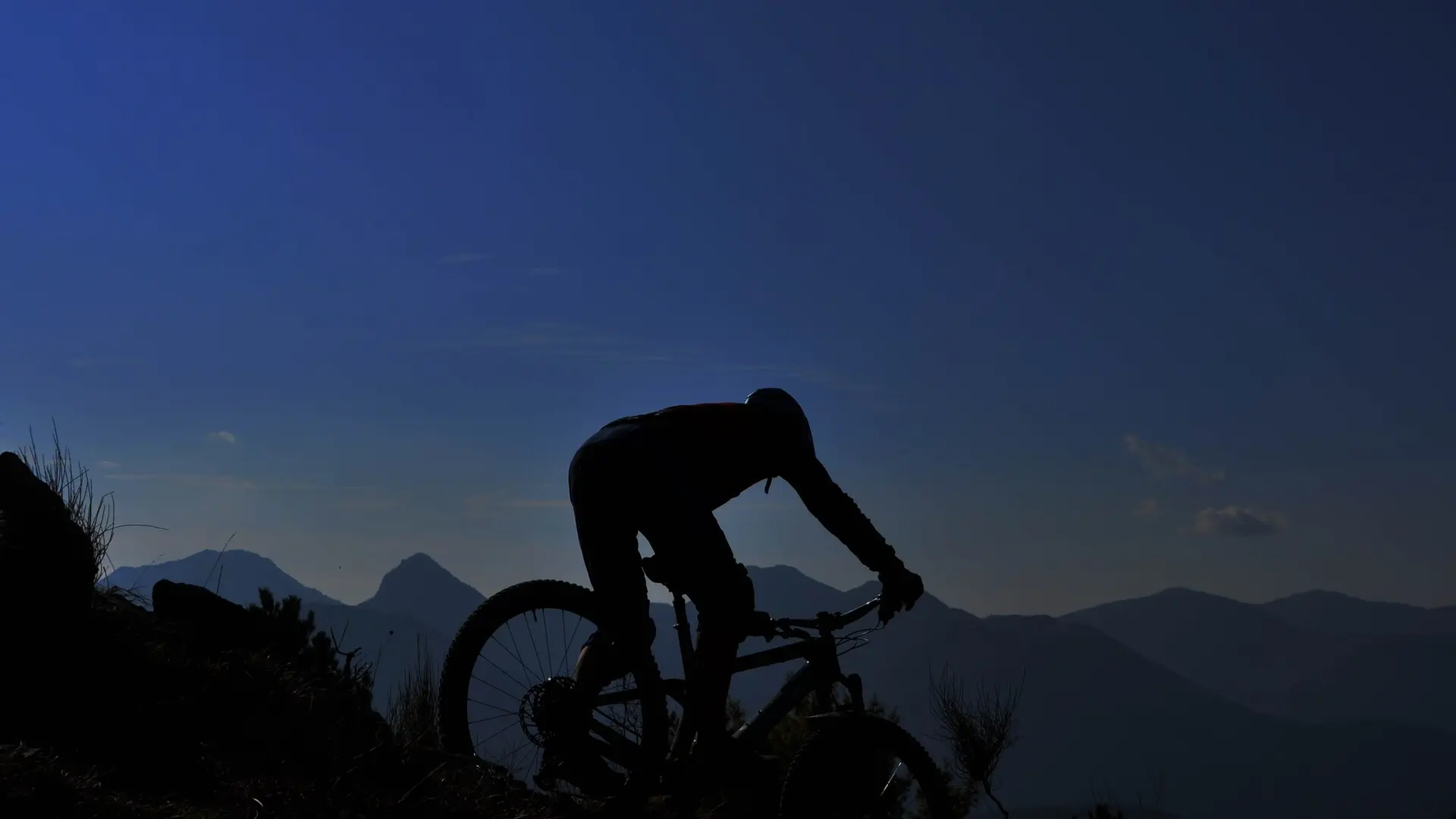VTT