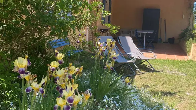 Terrasse et jardin