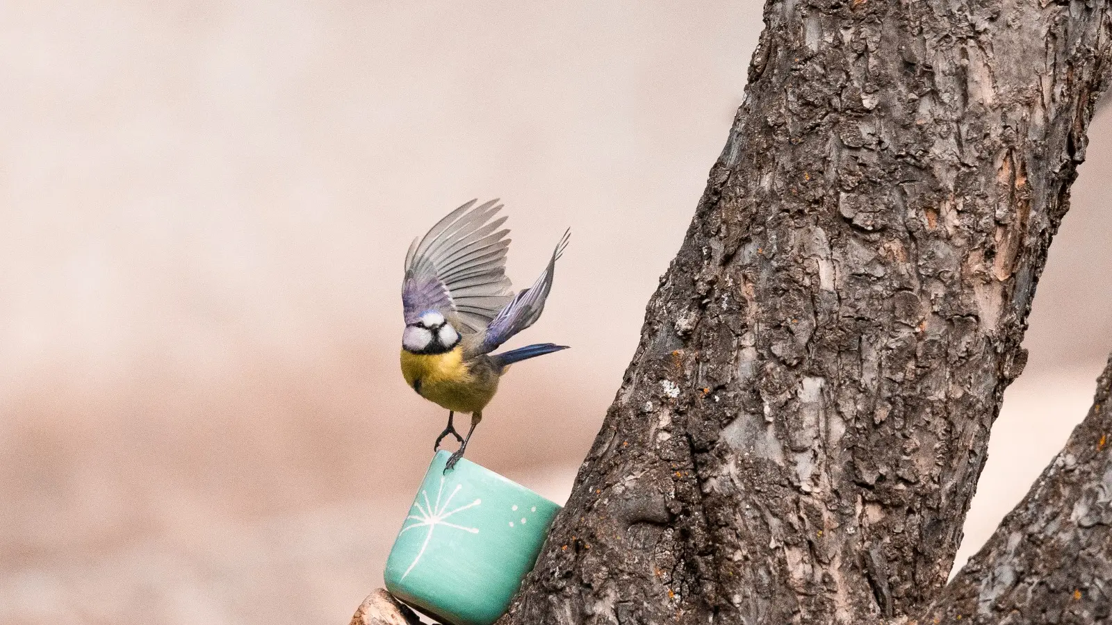 Nature et poterie avec Maryline