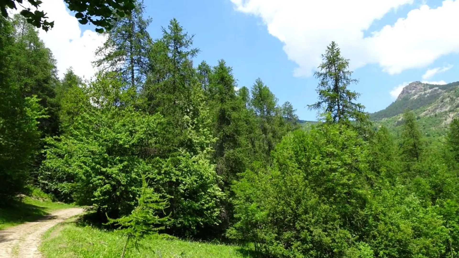 Sur le sentier de Monsieur Alfred