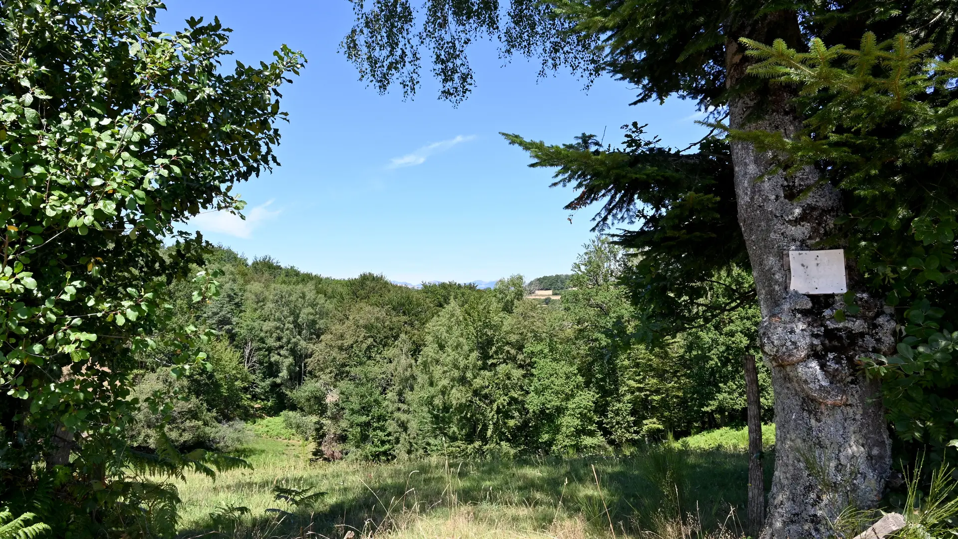Balisage de la randonnée