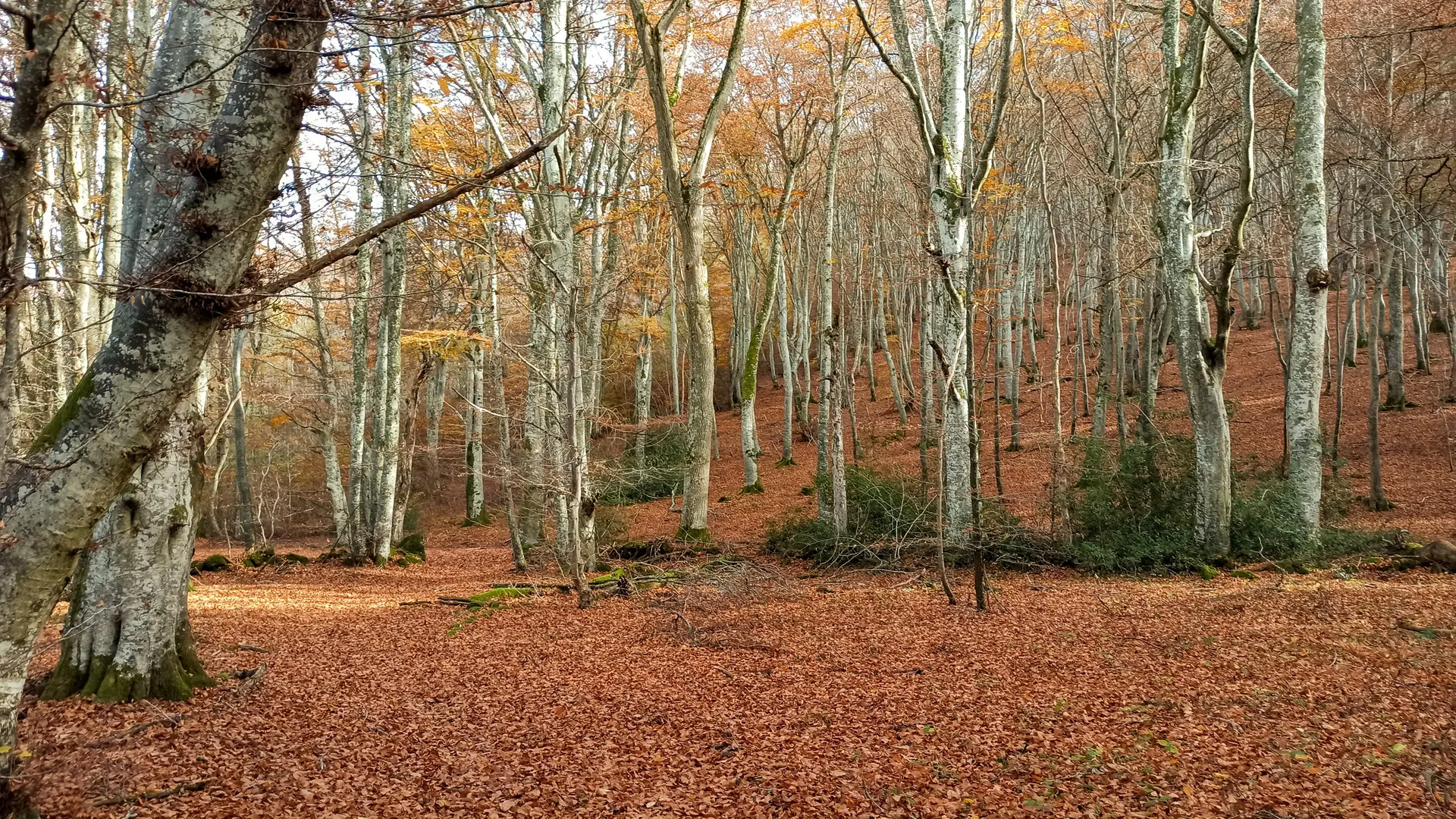 Randonnée VTT Au cœur des Puys