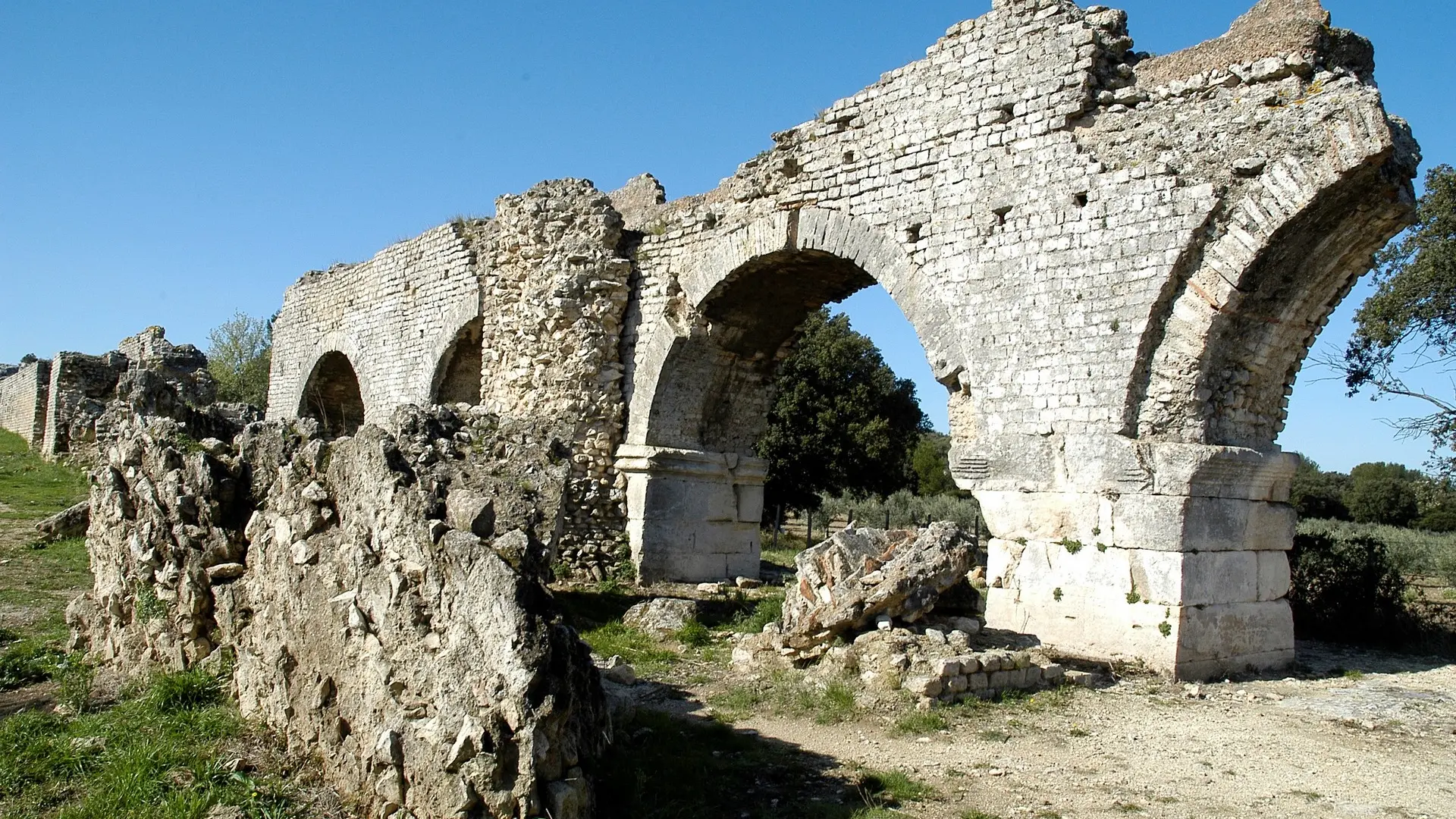 Excursions découvertes Camargue Alpilles Safari