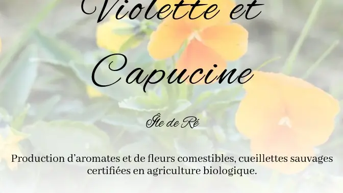 Violette et Capucine