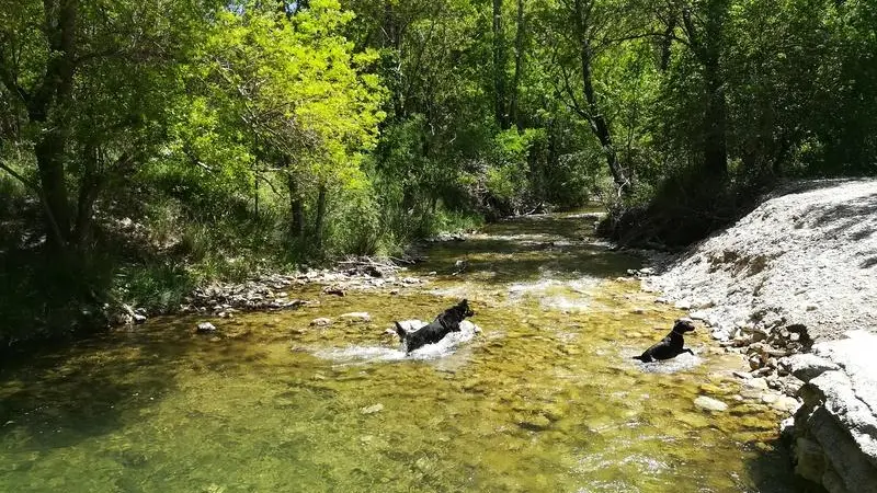 Rivière du Largue