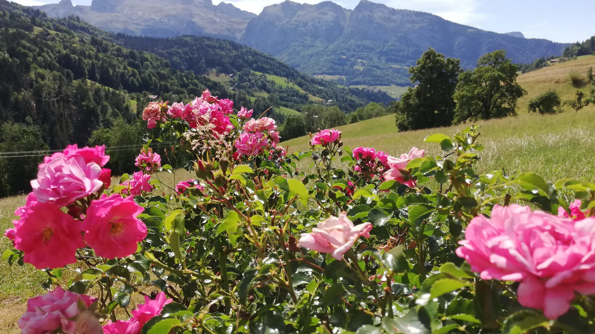 Vue depuis l'appartement