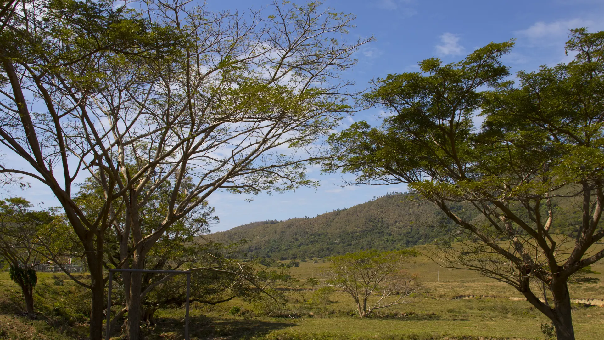 paysage, propriété, tchamba, néouty découverte