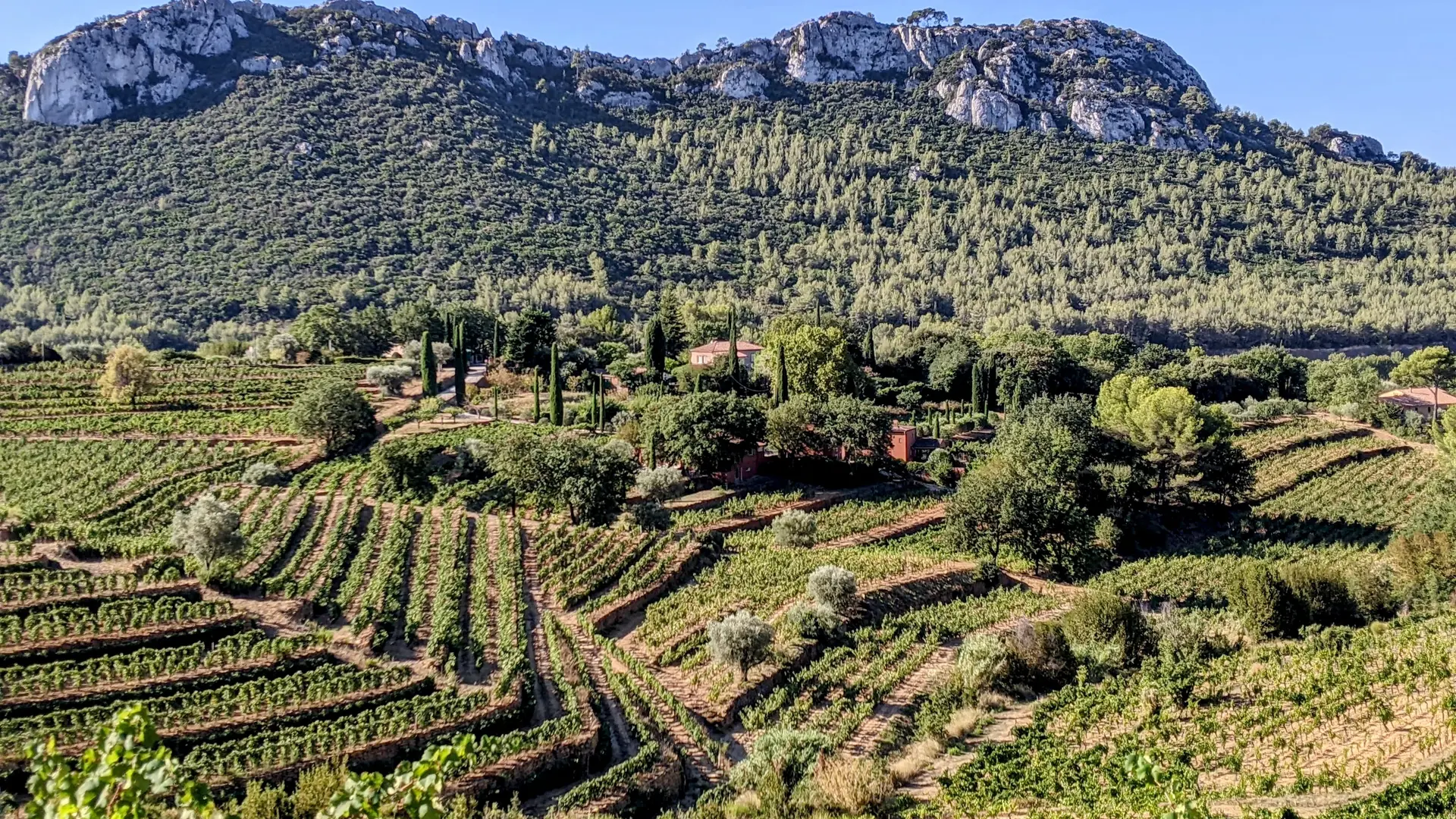 OenoTour Bandol