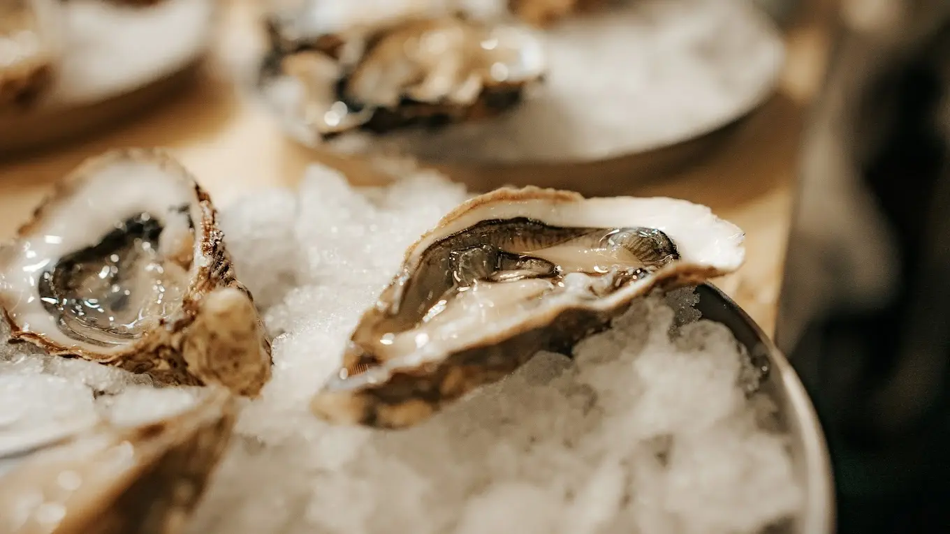 Oysters