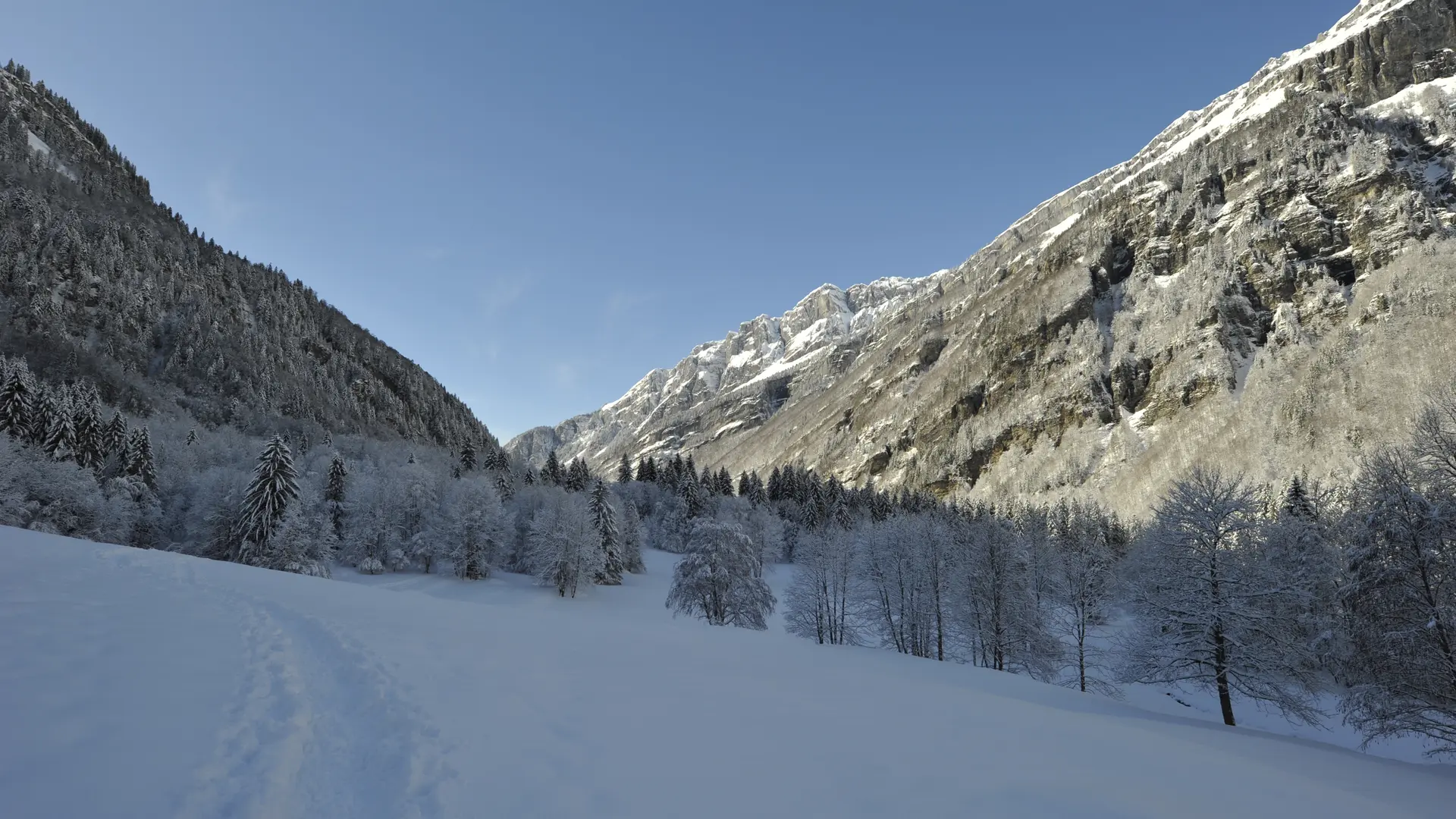 Cirque du Fer-à-Cheval