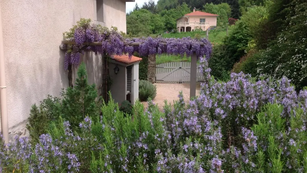 La terrasse ombragee..