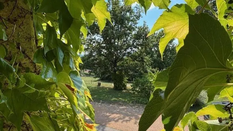 vue pallier au 1er