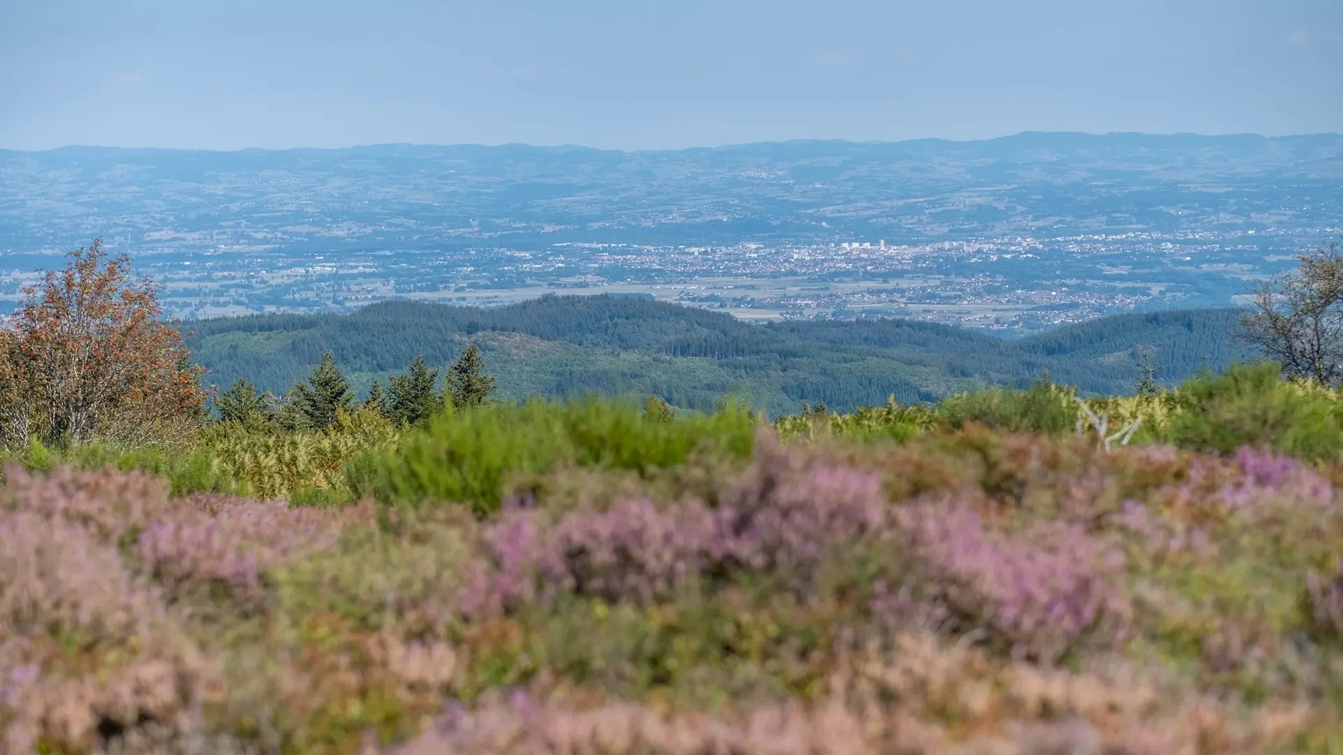 Le plateau de la Verrerie à Saint-Nicolas-des-Biefs