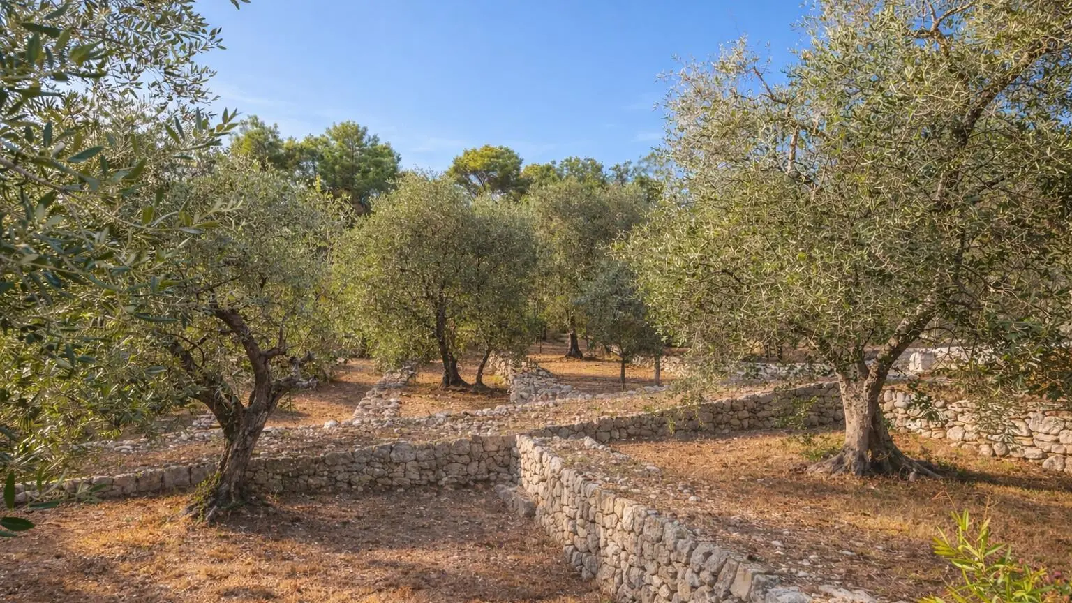 Gîte le Figuier de St Cé- Environnement-Gîtes de France Alpes-Maritimes